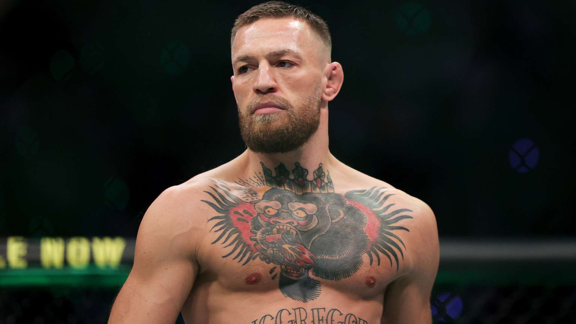 这种积极的 这种积极的